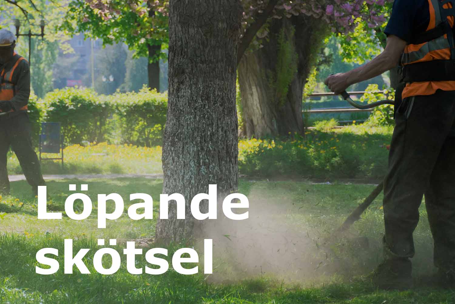 Runemyrs Alltjänst anlitas för löpande skötsel av trädgård och parkmiljöer
