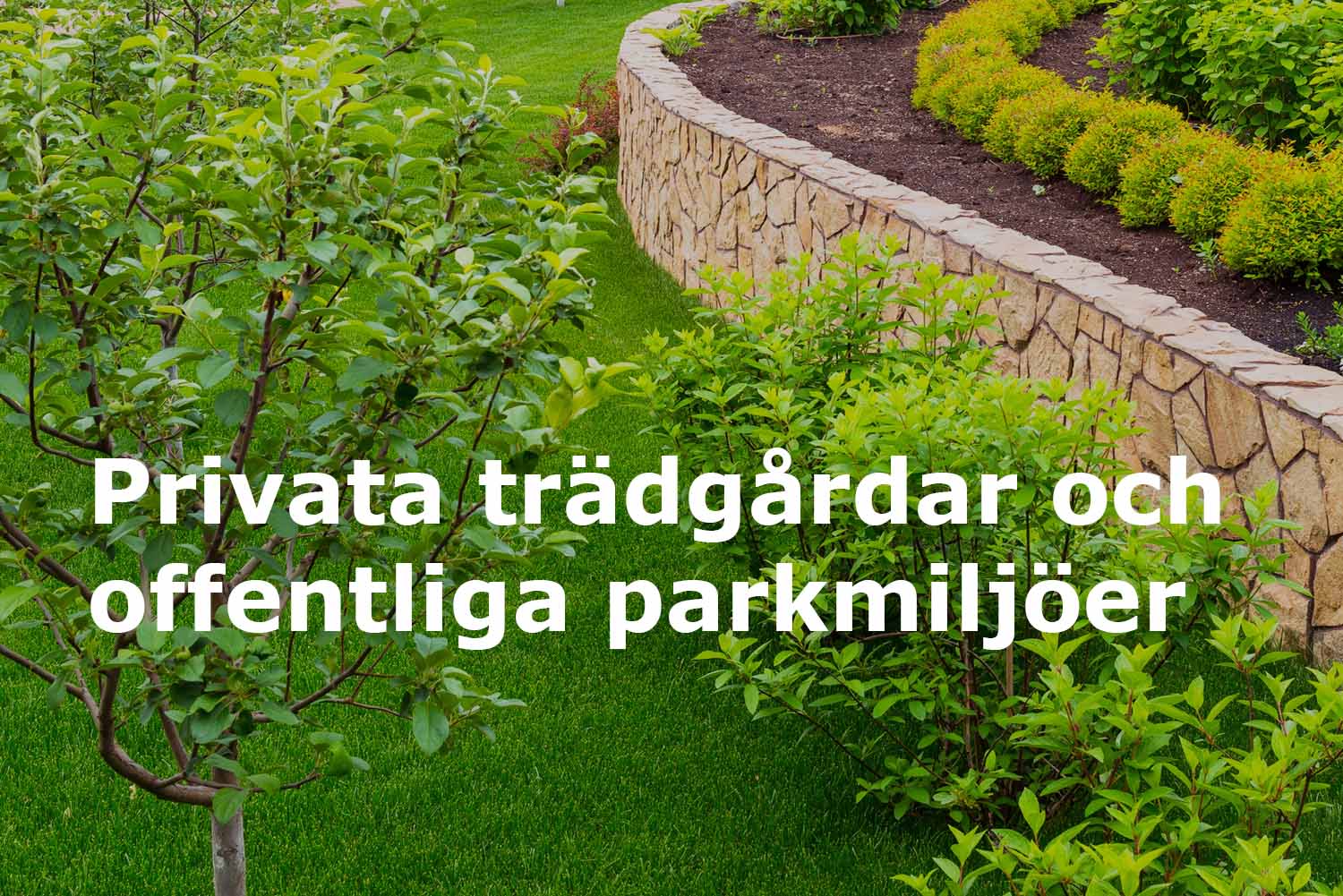 Runemyrs Alltjänst AB sköter privata trädgårdar och offentliga parkmiljöer